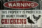 Жестяная металлическая вывеска с изображением цыплят на ферме