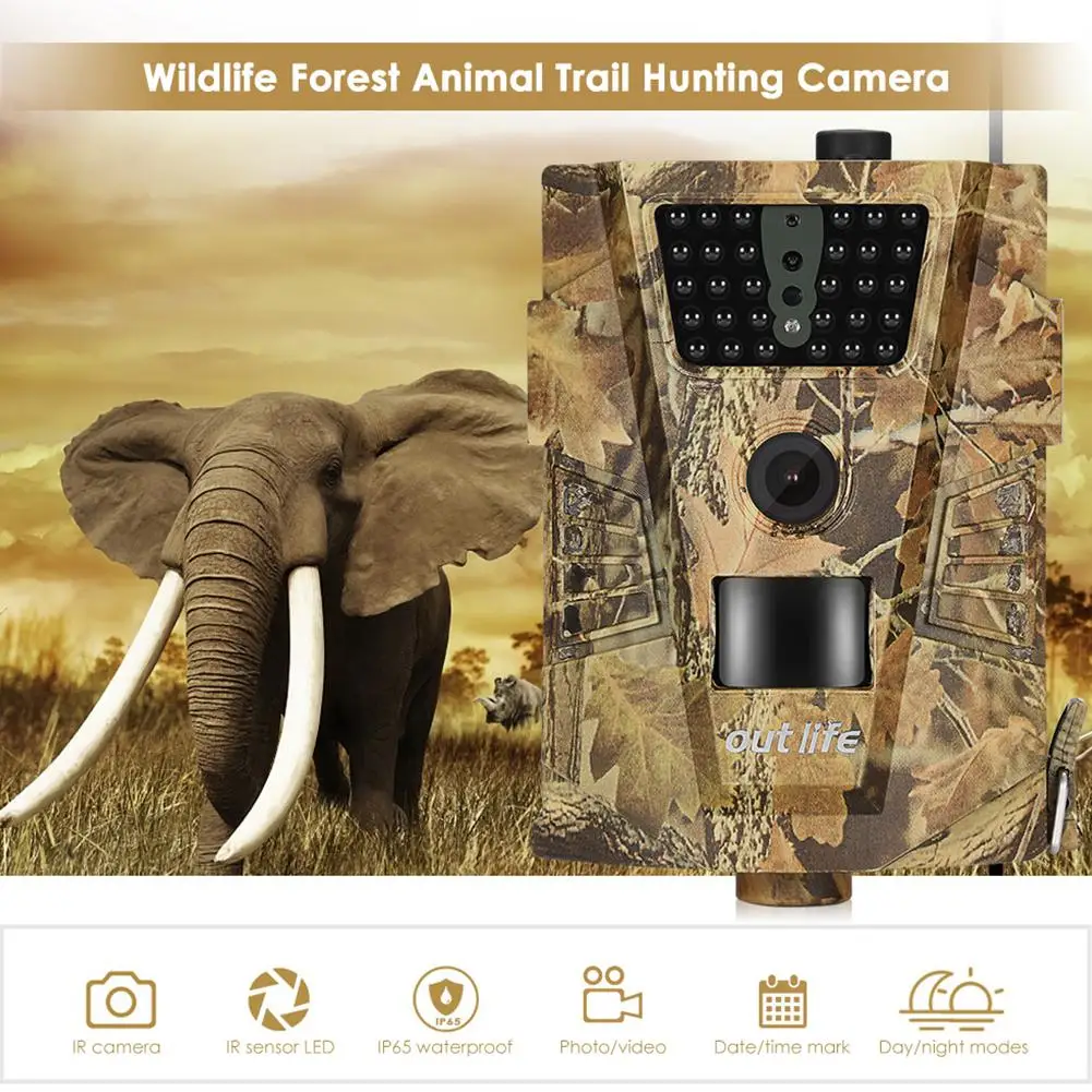 Камера для наблюдения за дикой природой 12 МП 1080P | Спорт и развлечения