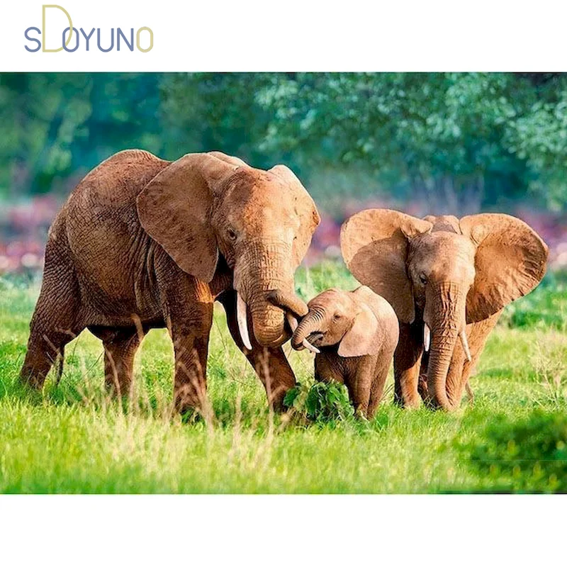 

Diy Paint By Numbers For Adults Elephant Hand Paind Kit Canvas Coloring By Numbers Animals HandPainted Living Room Decoration