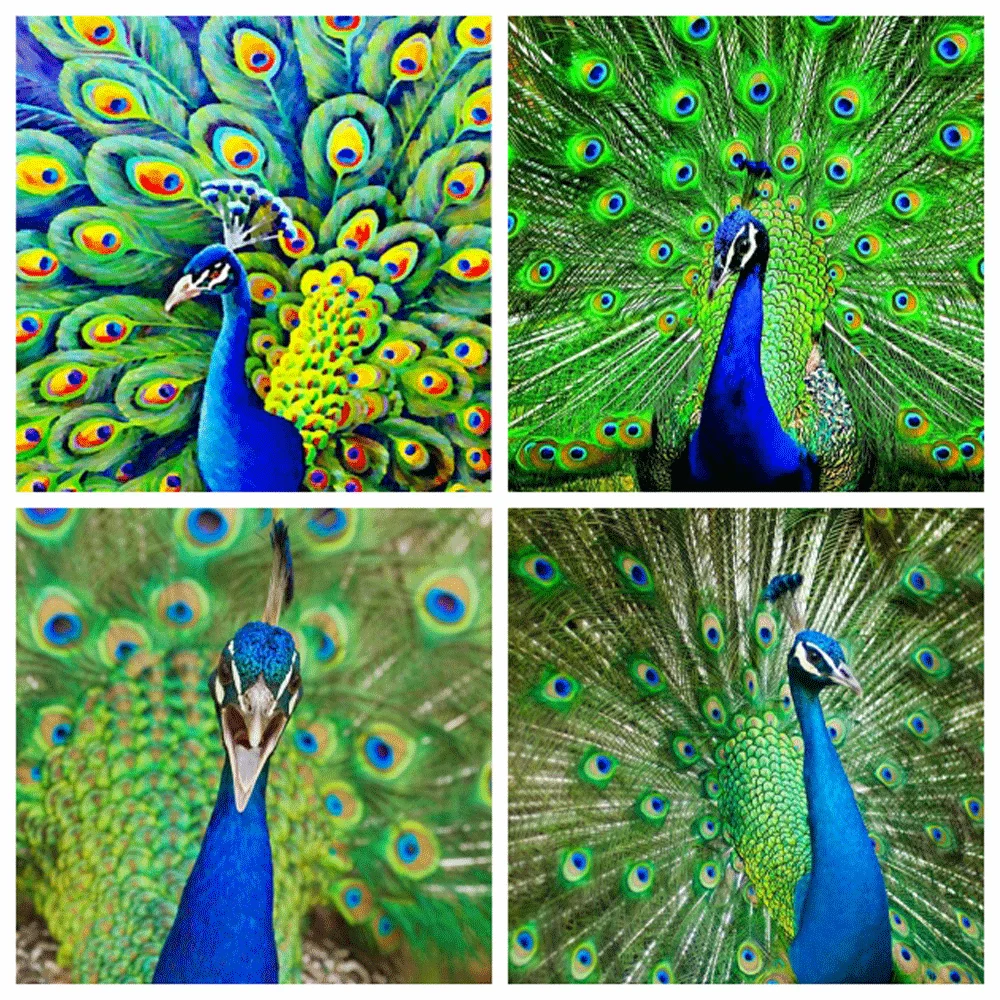 

HUACAN 5D DIY Diamond Painting Peacock Diamond Mosaic Animal Full Square/Round Drill Embroidery Handmade Gift
