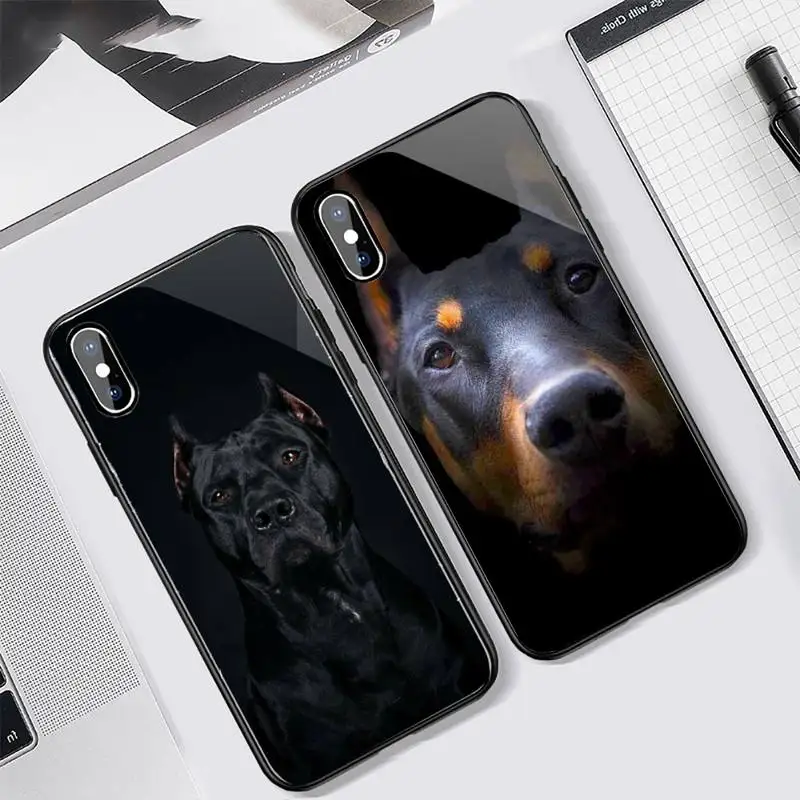 

Dachshund Dog cute Phone Case Tempered glass For iphone 6 7 8 plus X XS XR 11 12 13 PRO MAX mini