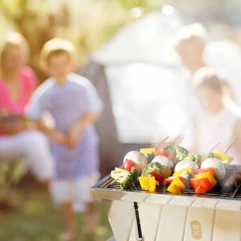 Zenph для пикника барбекю портативный гриль нержавеющая сталь складная плита