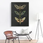 Винтажные постеры, картины на холсте с изображением бабочек, цветов, животных, насекомых, Настенная картина, домашний декор для гостиной