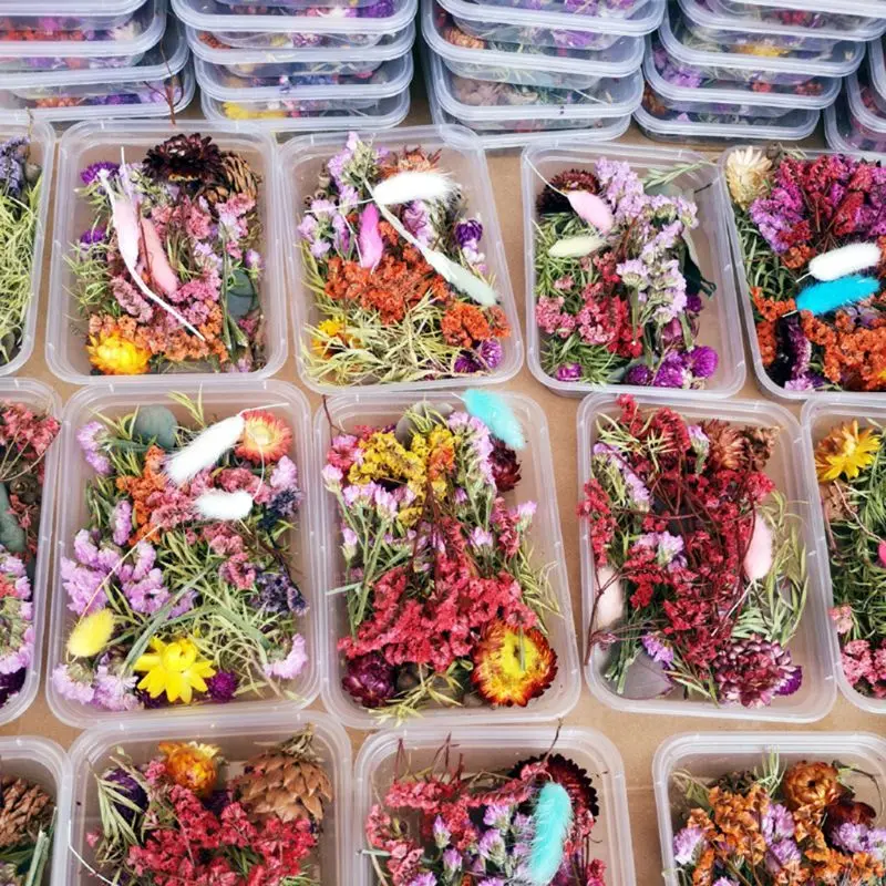 

1 Box Real Mix Dried Flowers for Resin Jewellery Dry Plants Pressed Flowers Making Craft DIY Accessories
