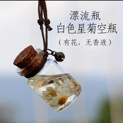 

Creative Car Perfume Empty Bottle with Flower Pendant Jewelry Car Perfume Art Small Fresh Glass Ball Bottle 5pcs/lot