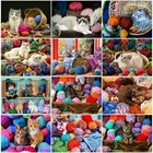 MomoArt 5D Алмазная мозаика животные вышивка крестом наборы алмазная вышивка кошки картина картина алмазами картина рукоделие декор для дома