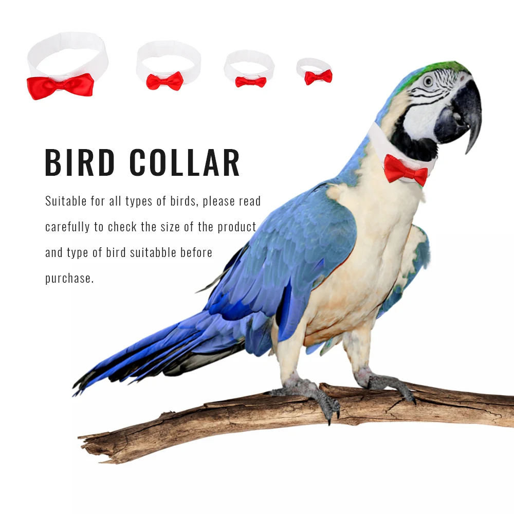 Поводок-рулетка для питомца птица ошейник с бантиком попугая воротник бантики