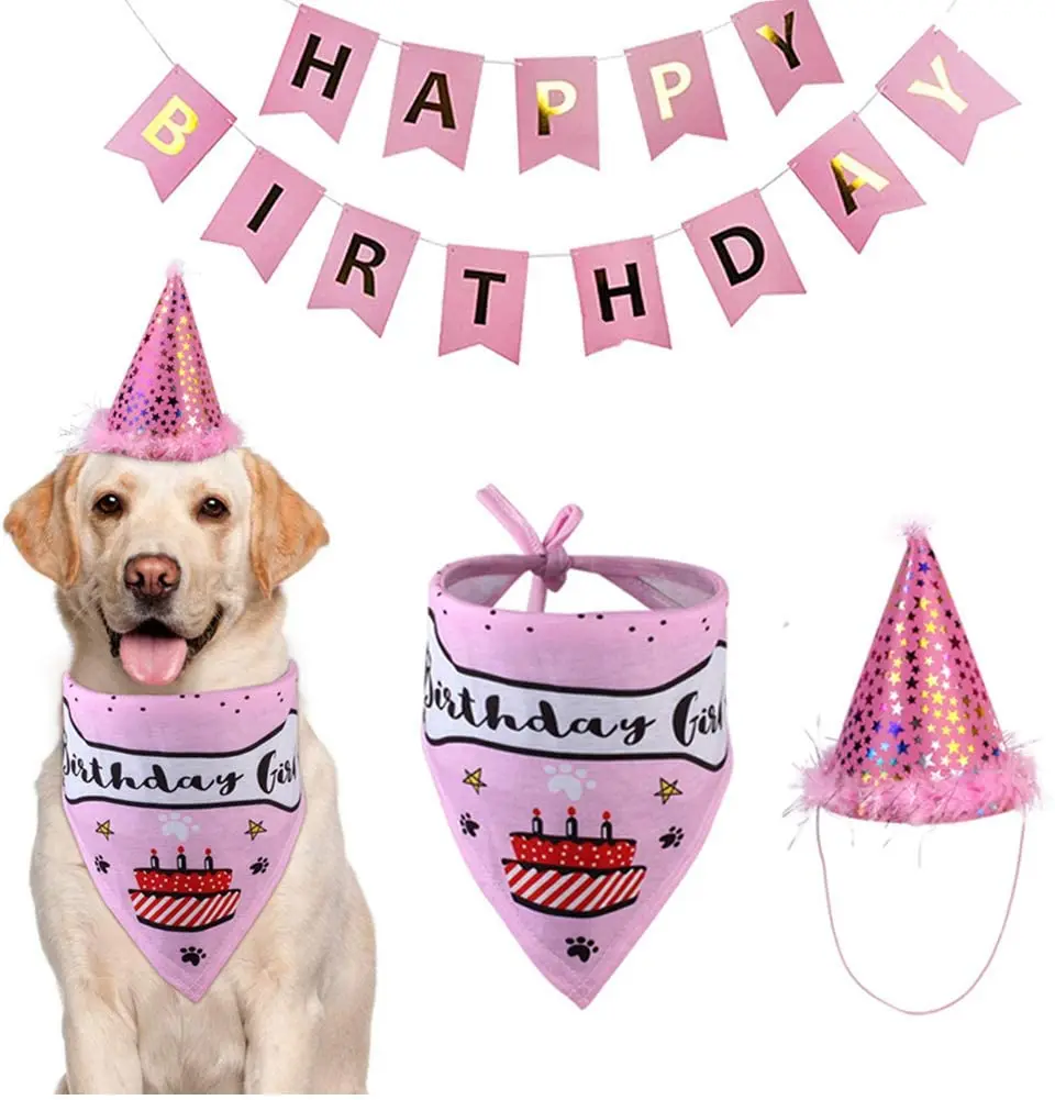 

Набор украшений на день рождения собаки бандана на день рождения для собаки конусная шляпа на день рождения милая собака