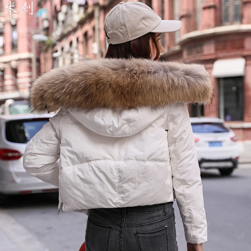 

Down Coats