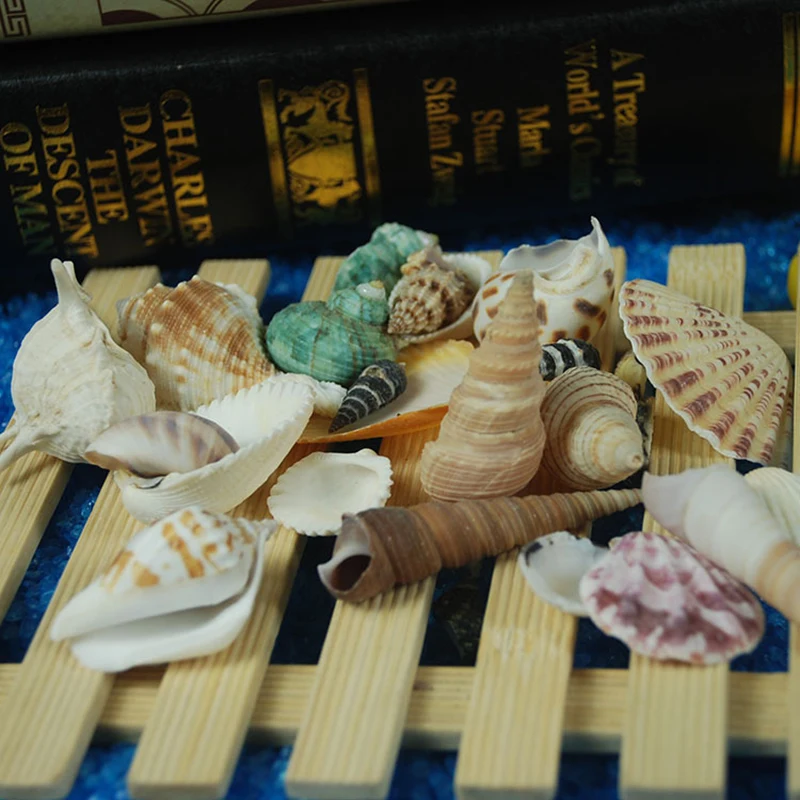 1 сумка смешанного океан ракушки пляж тема вечерние свадебные украшения из