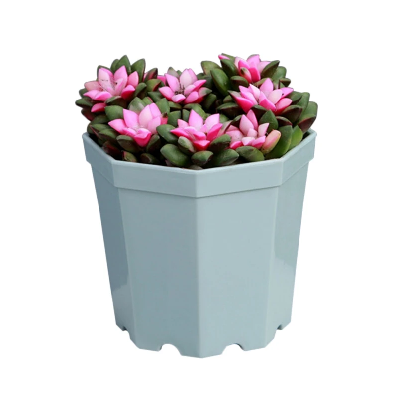 Пластиковый восьмиугольный горшок для цветов 5 шт./упаковка|Цветочные горшки и