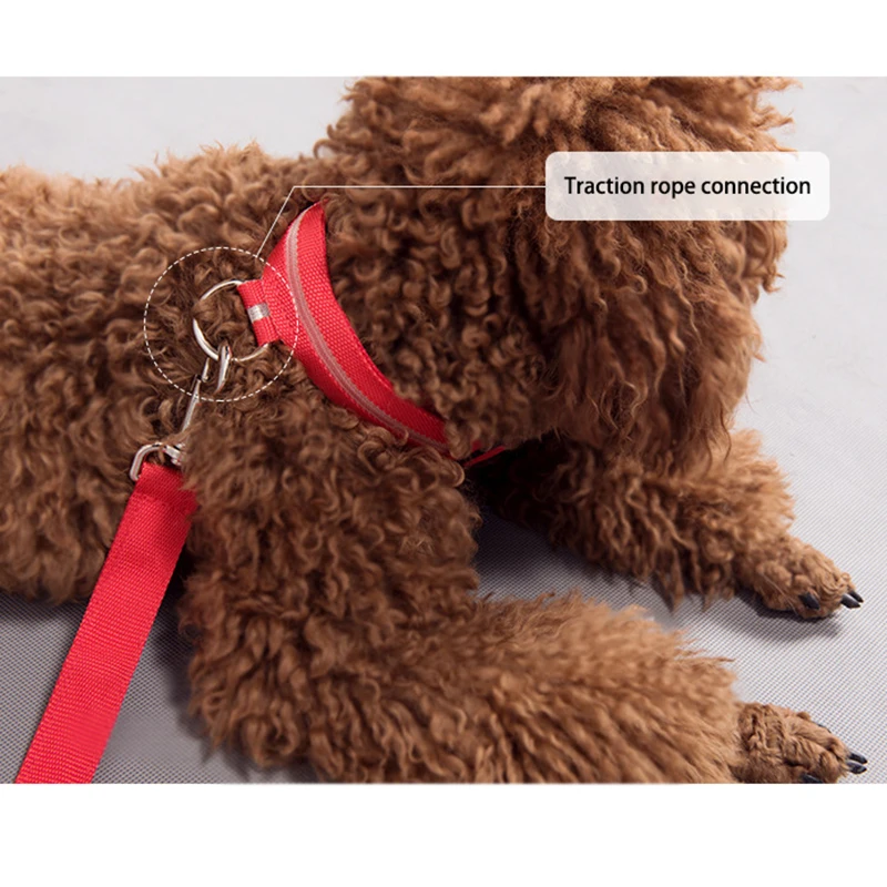 Usb зарядка Led собачий ошейник Ночная безопасность мигающий светится в темноте