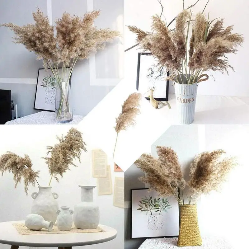 

1pcs Real Wheat Decoration Natural Pampas Rabbit Tail Grass Dried Flowers For Wedding Party DIY Craft Typha Lagurus ovatus