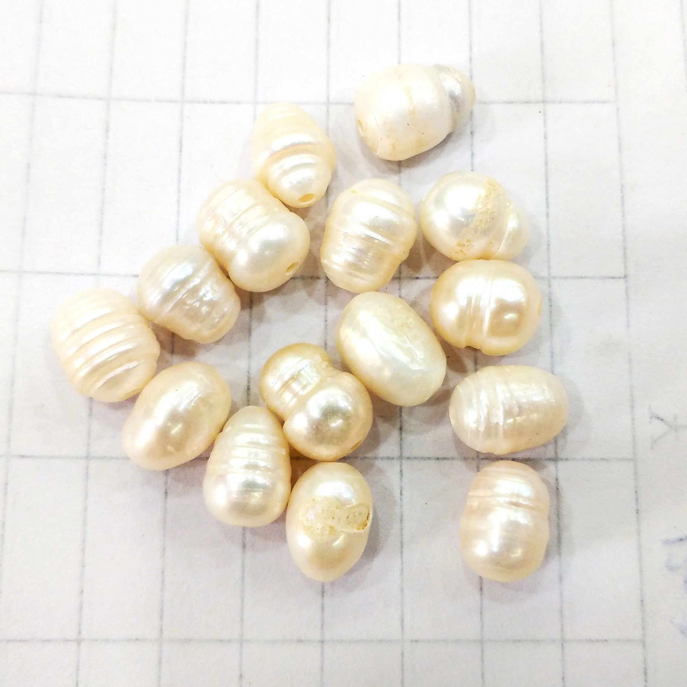 5 шт. индивидуально обернутые устрицы с большим жемчугом подарок на день