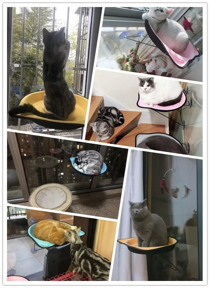 

Cat Window Hammock For Pet Removable Bed Mount Window Pod Lounger Suction Cups Cat hammock House Pet Cat Supplies