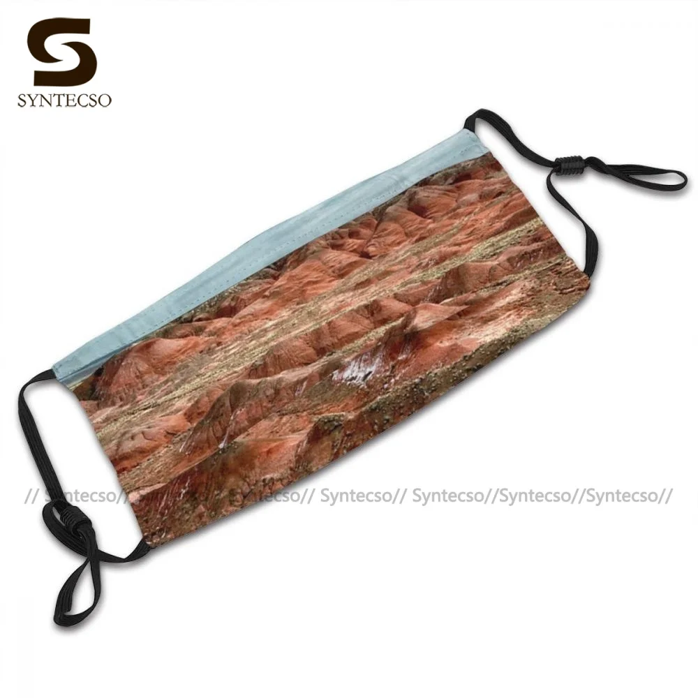 Уникальная Защитная окрашенная маска для лица Desert Аризона забавная взрослая