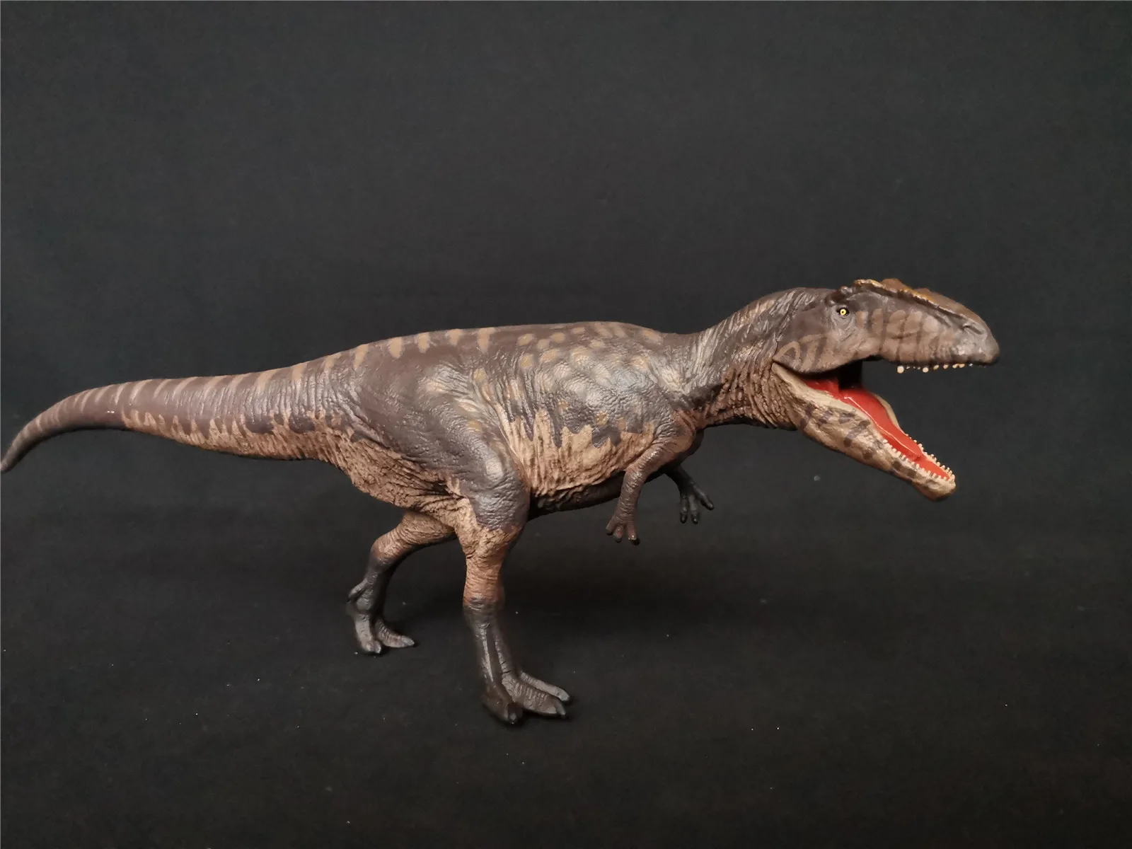 В наличии! Статуя динозавра 1/35 Giganotosaurus eoфауна коллекционер фигурок