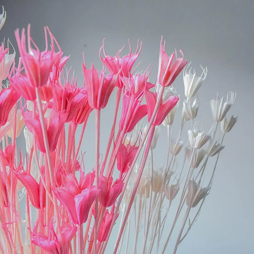 

8 сушеных восьмиугольных цветов, букет, украшение для дома, букет для свадебной церемонии, современные украшения, цветы