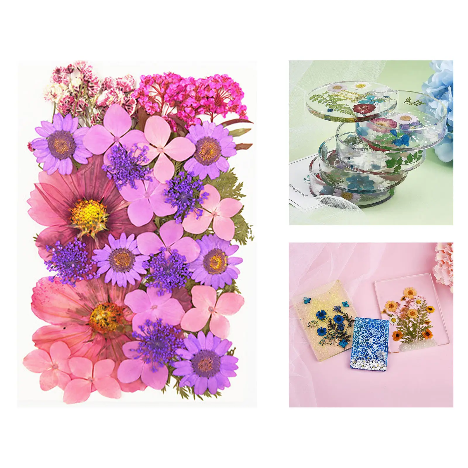 Настоящие натуральные бриллианты прессованные цветы листья лепестки для