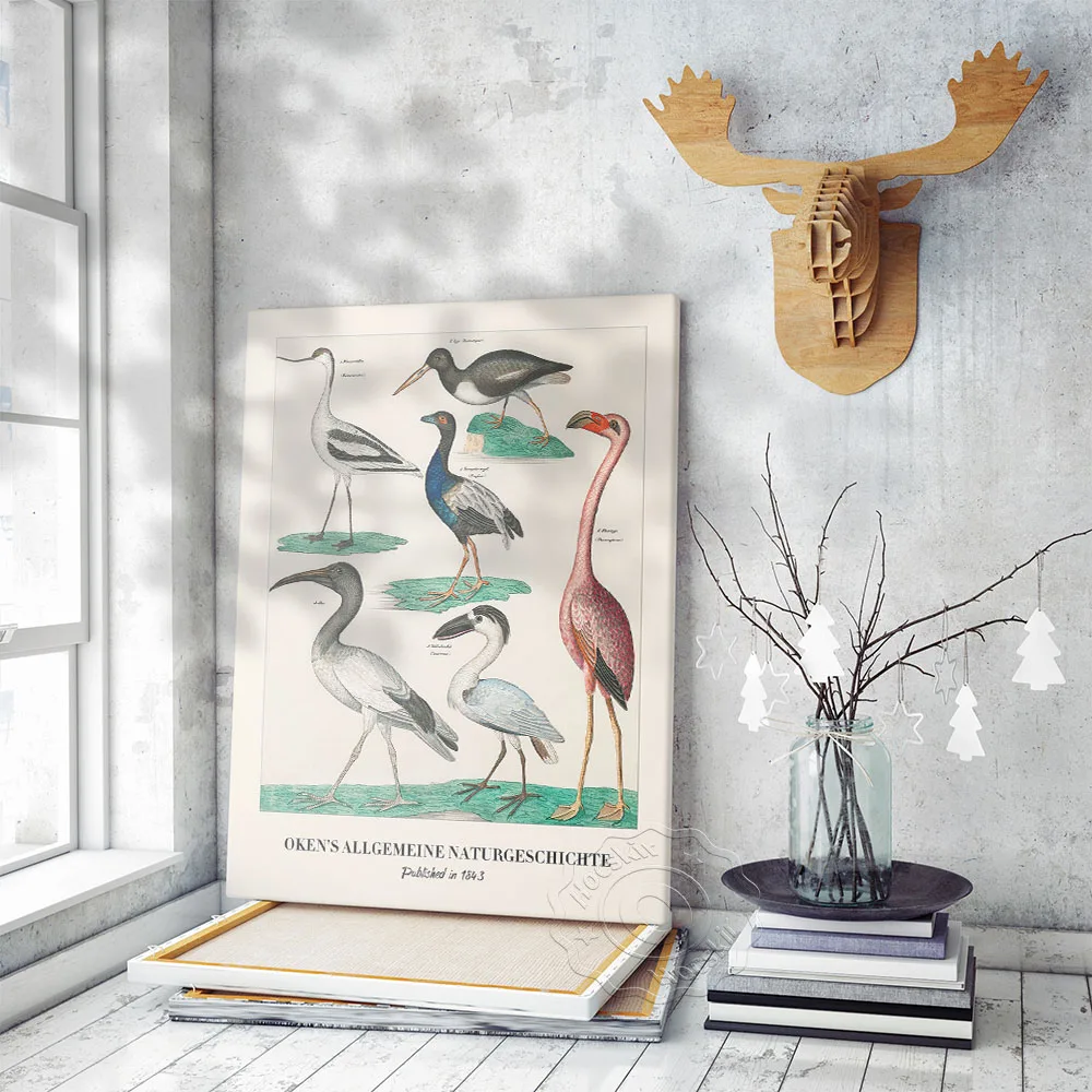 

Lorenz Oken Canvas Painting Exhibition Museum Poster, Bird Illustration Prints Art Wall Stickers, Lounge Office Studio Decor