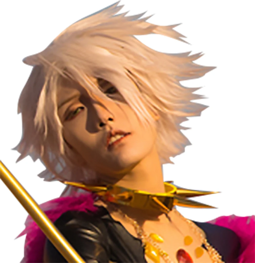 

DUDU Cosplay wig for Fate Grand Order Karna