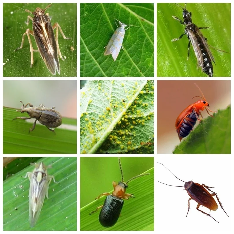 Профессиональный инсектицид пиридабен санмита специальное средство для