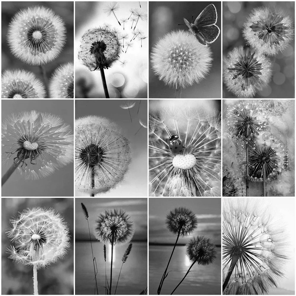 

Набор для алмазной живописи Huacan, Алмазная мозаика 5D Одуванчик, вышивка черно-белыми искусственными стразами