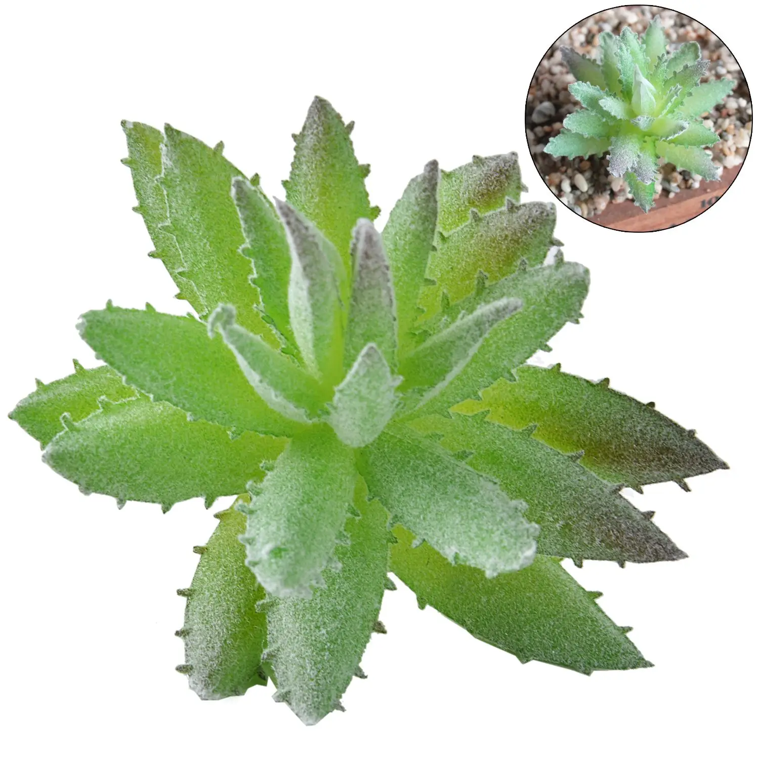 Artificial Succulents Green Flocking Plant Bonsai Desktop Fake Plants Valentine Day Christmas Wedding Decoration Plante