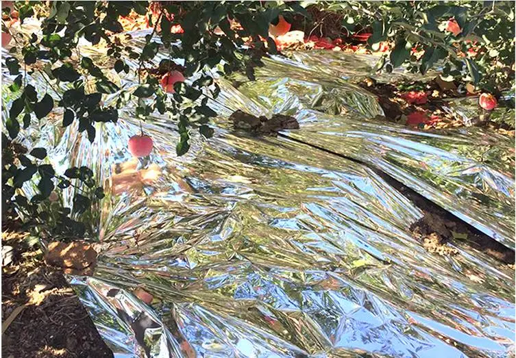 Сельскохозяйственная двухсторонняя светоотражающая пленка из майлара для