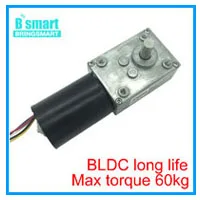 Червячный Шестерни Мотор 12V 24V обратный 12-470 об/мин двигатель постоянного тока с высоким крутящим моментом 3,4-70 кг с встроенной функцией спуска затвора для Шторы машина афиши оборудование для дома высокого качества