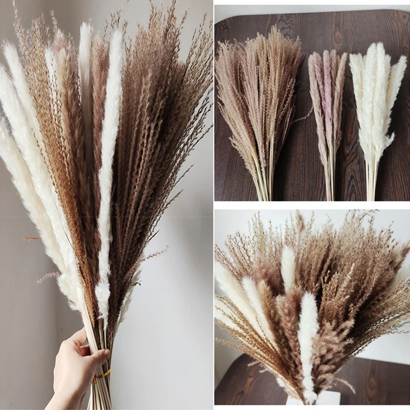 Arrangement Reed Pampas Wheat Ears Rabbit Tail Grass Natural Dried Flowers Bouquet Wedding Decoration Hay for Party Bohemian Hom