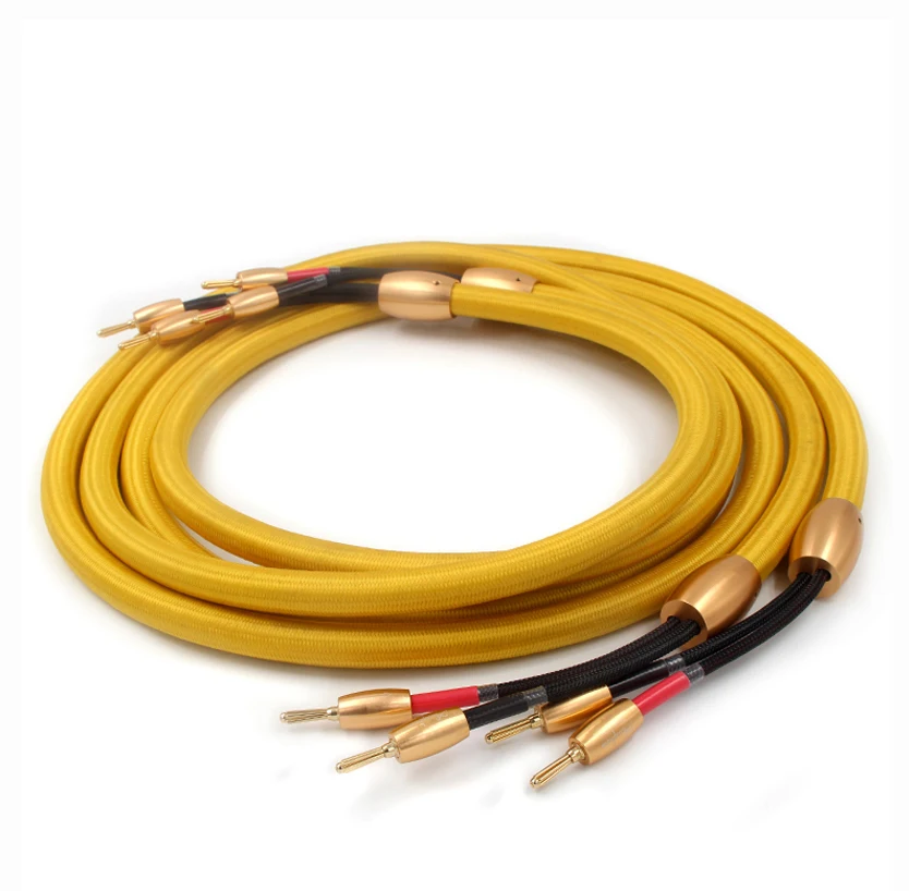 Colleimage Hifi Accuphase 1th Audio speaker Cable Gold Plated Banana Plug Speaker Wire For Hi-fi Systems | Электроника