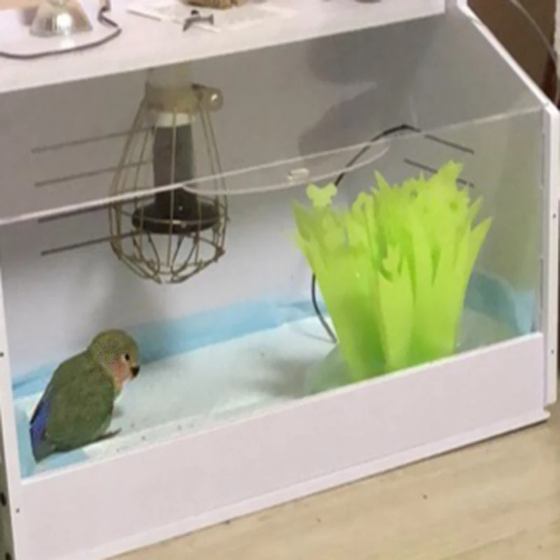 Новинка куриный инкубатор брошь маленького размера для перепелов ползания