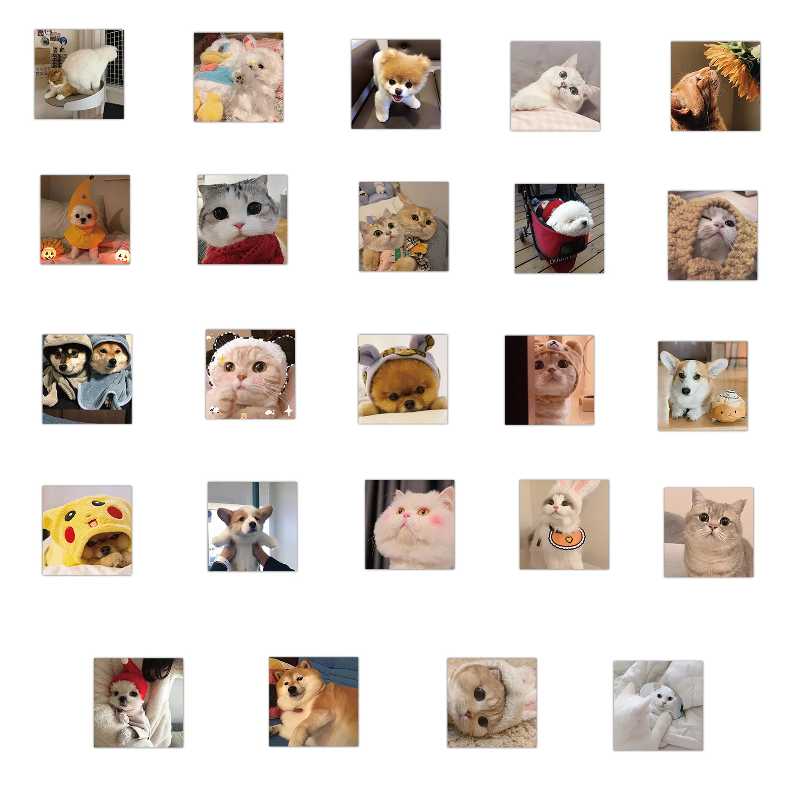 10/30/50PCS Cute Cat and Dog Expression Bag Graffiti Waterproof Sticker Suitcase Notebook MobilePhoneRefrigeratorHelmetWholesale - купить по