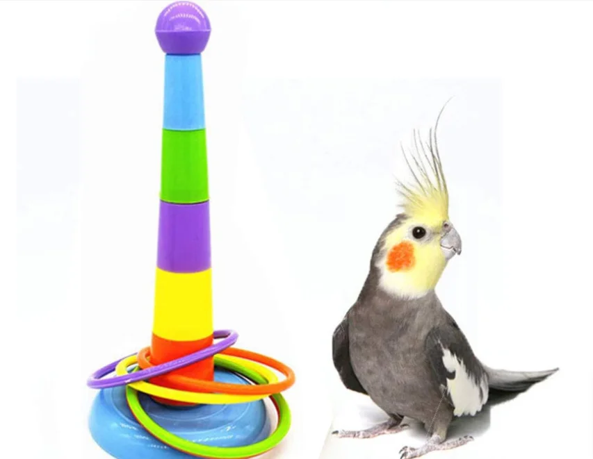 

Birds Ferrule Toy Parrots Mini Basketball Toys Ring Training Interactive Intelligence Toys Starling Birds Toys Pet Parrots Toys