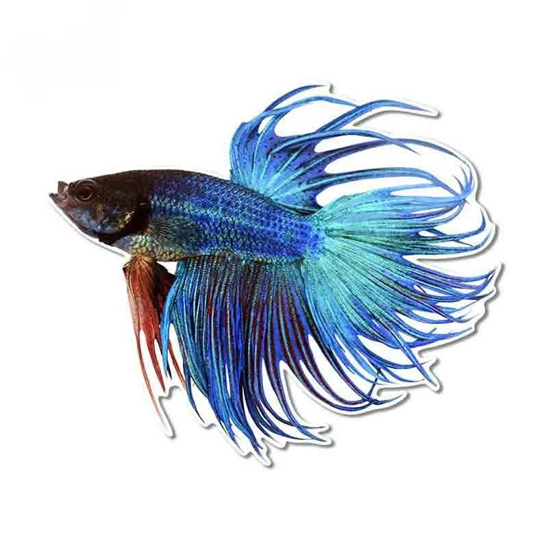

Модные автомобильные наклейки Betta Fish, декоративные наклейки из ПВХ, мотоциклетные автомобильные водонепроницаемые аксессуары, креативные ...