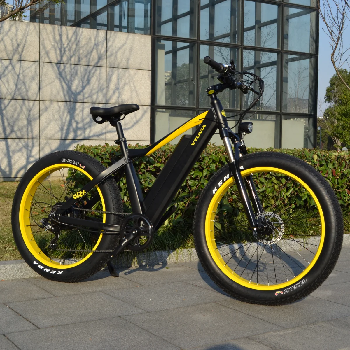 Verkaufen 26 Zoll Fett Reifen Elektrische Fahrrad 750W Motor 48V 13AH Abnehmbare Batterie Motor Berg Elektrische Bike Schnee Fahrrad