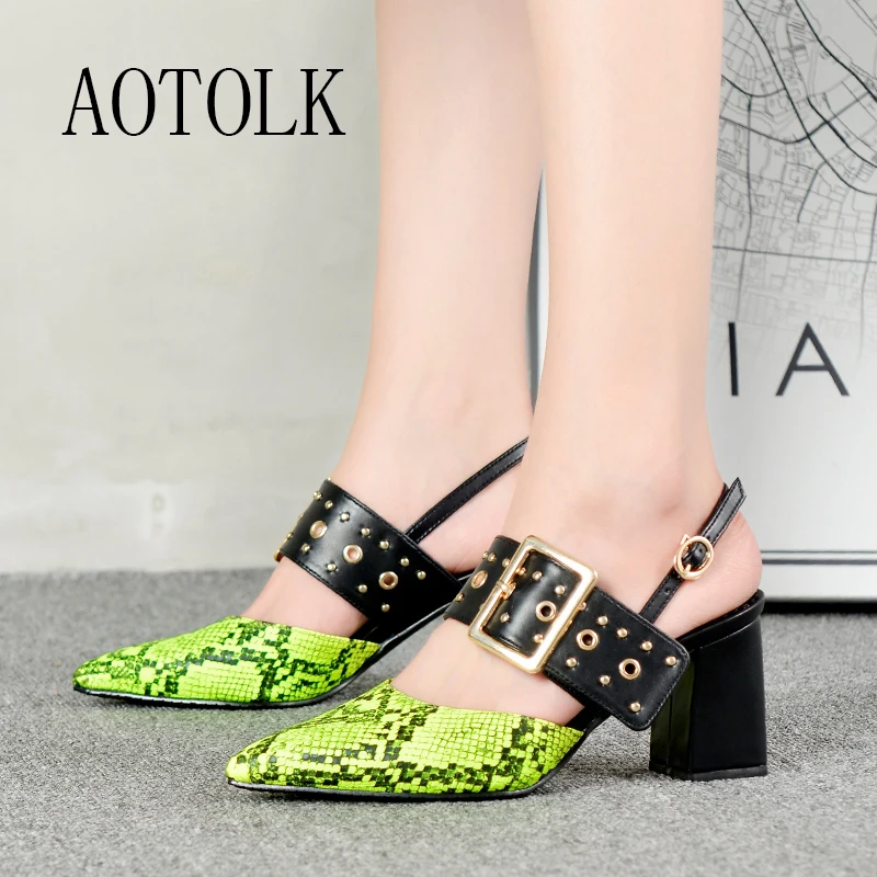 Женская обувь Сезон осень Туфли на высоком каблуке с петлей пятке Женские туфли