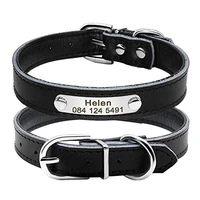 cute leather padded custom dog collar with engraved nameplate id tagfit cats and small medium dogs