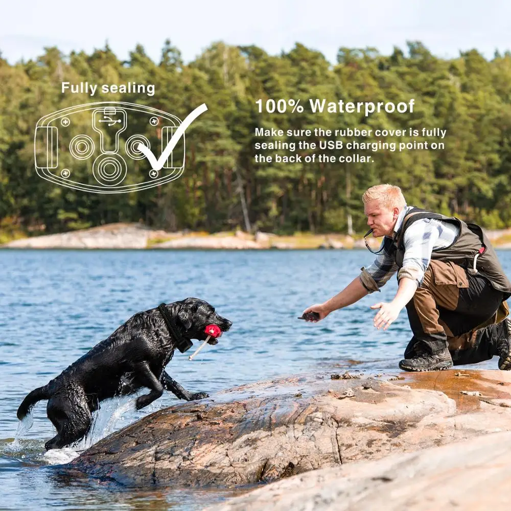 Водонепроницаемый перезаряжаемый ошейник для дрессировки собак звук и шок