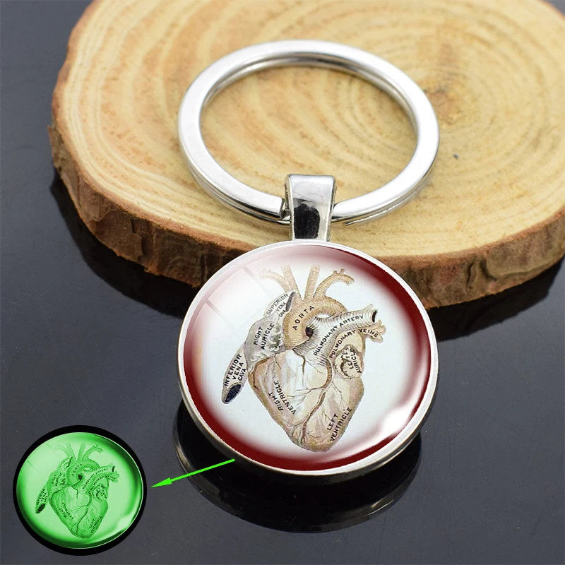 Анатомический светящийся брелок для ключей в форме сердца стеклянный купол с