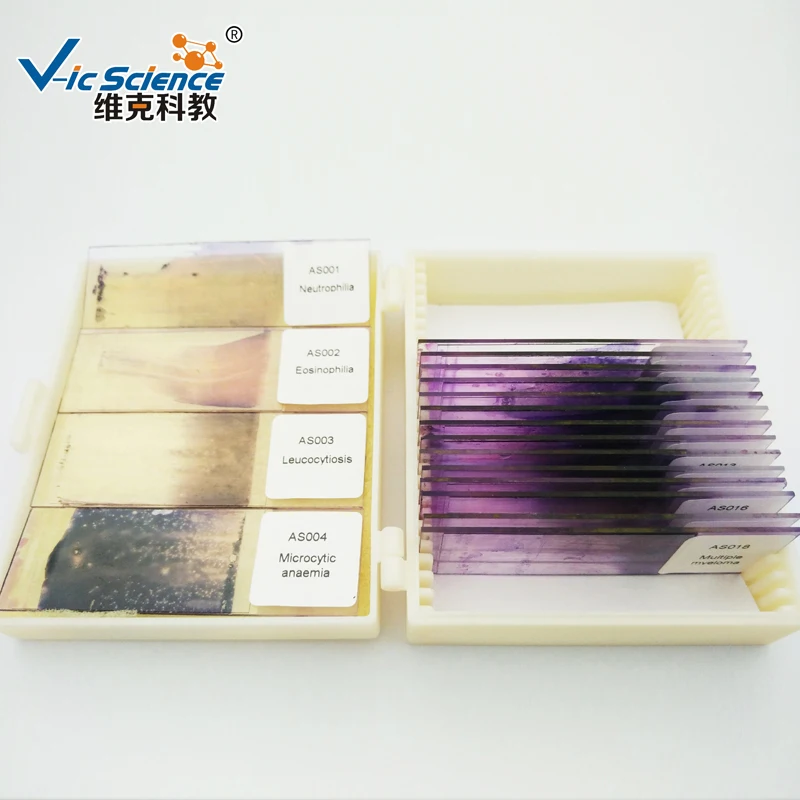 18 шт мазок крови подготовленные горки|blood smear slide|slides |