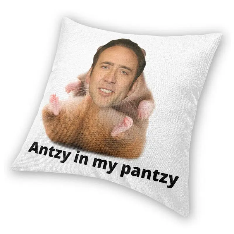 Яркие муравьи в моих брюках Николас Кейдж хомяк квадратная подушка украшение для