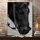 Черный и белый лошадь на холсте картина маслом с изображением животных Печать и Плакаты дома Гостиная декоративные картины без рамки горячая распродажа