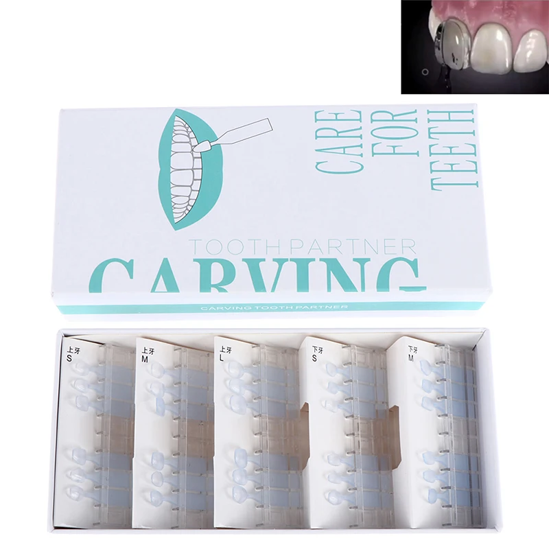 

30Pcs/Kit Dental Mould For Composite Resin Light Cure Filling Anterior Front Veneers Teeth Dentist Material Tooth Whitening Tool