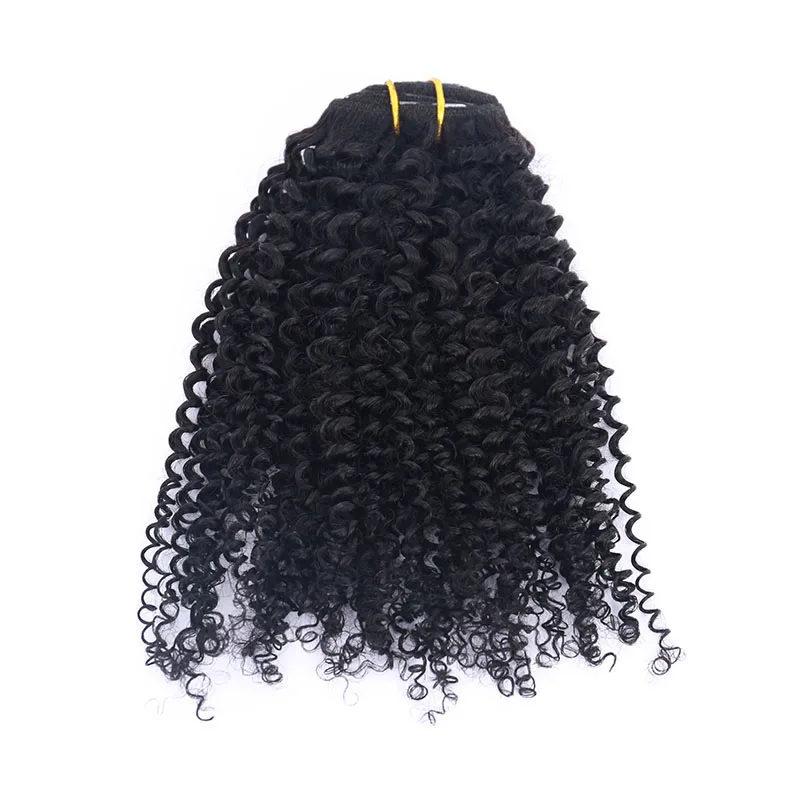 3C 4A Kinky Curly Clip In Human Hair Extensions Sets Natural Black Hair Clip Ins Kinky Curly Brazilian Remy Hair CARA