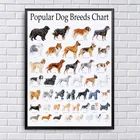 Настенная Картина на холсте, популярная Таблица породы собак, домашний декор, постер с принтом животных, Современная Модульная рамка в скандинавском стиле для гостиной