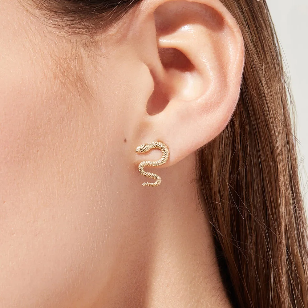 

Tiny Stud Earrings for Women Stud Earrings Dainty CZ Mini Cute Snake-shaped Simple Exquisite and Simple Earrings as a Gift