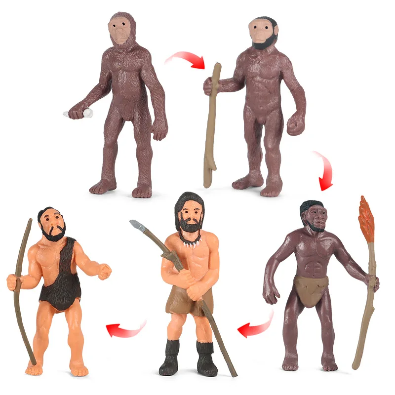 5 шт./компл. Homo erучитс экшн-фигурка человеческая эволюция история твердый ПВХ