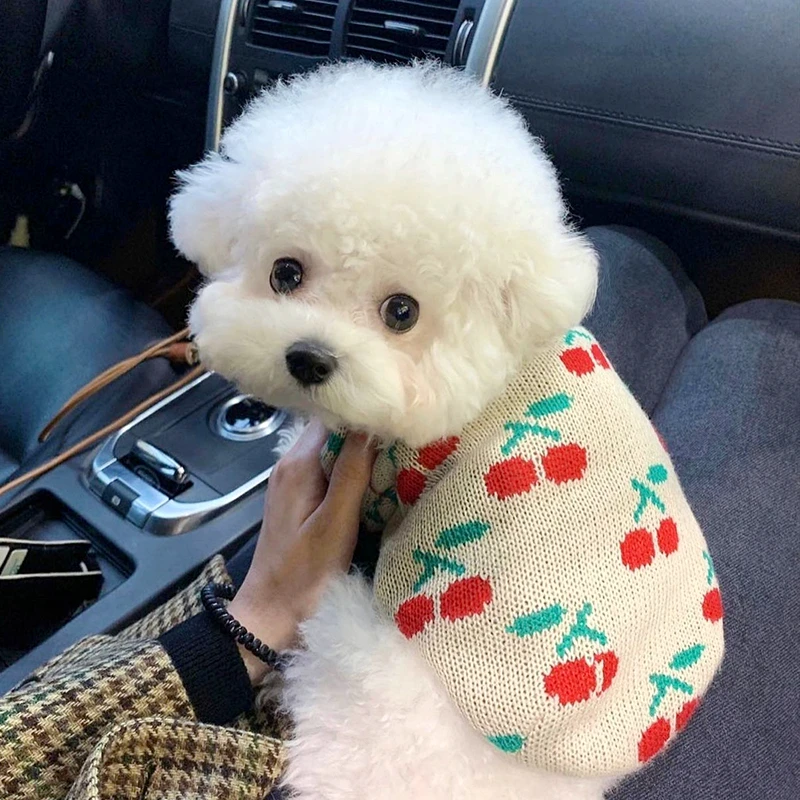 Fashionable Cherry Dog Clothes Pet Knitted Sweater Teddy Bichon Warm Winter Puppy Pullover Corgi Bi-legs XS-XL